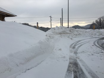 01bcbebe04a199f44508484e89e5289a49de2e871e