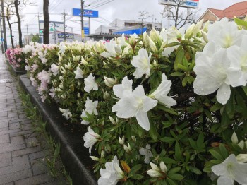 0115adadc0a0c99ce57d740881690205eab9c5afef