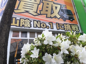 016ceee8f007fe648a6651a50fbc9cda46f474b4f5