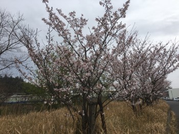 01bde9637df25c11c25906d09ed1c50d6e96d2229c