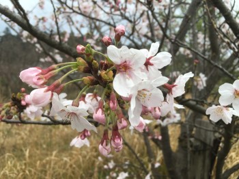 01f2943a91de6090cfcfbc52e8970eb30a99fee78e