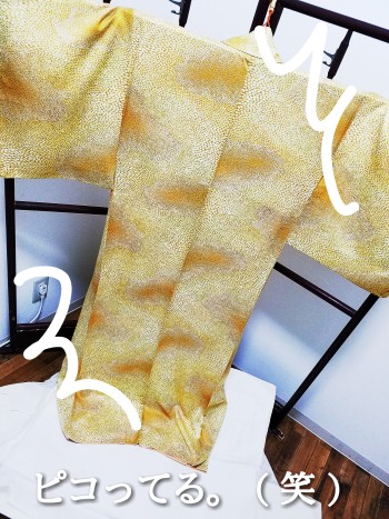 CYMERA_20170608_172308[1]