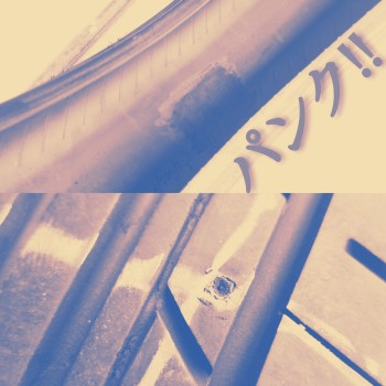 CYMERA_20170610_110012[1]