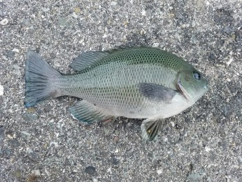 CYMERA_20170921_183055[1]