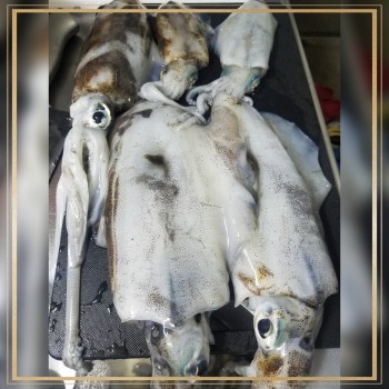 CYMERA_20171005_220617[1]